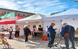 Carovana della Salute