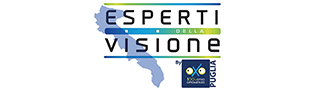 Esperti visione